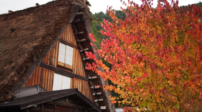 【即時紅葉。持續更新】日本北陸、中部秋季紅葉照片(2015.10) 《上卷》
